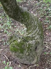 IMG_8046.jpeg