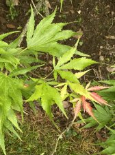 IMG_8027.jpeg
