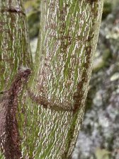 IMG_8540.jpeg