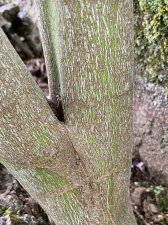 IMG_8616.jpeg