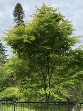 IMG_3662.jpeg