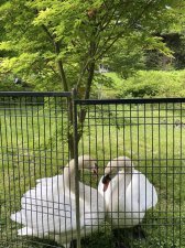 IMG_3650.jpeg