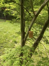 IMG_3654.jpeg