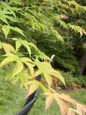 IMG_3664.jpeg
