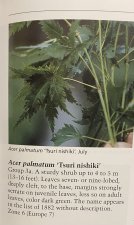 IMG_8626.jpeg