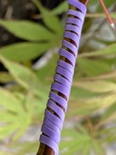 IMG_8643.jpeg