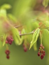 IMG_3672.jpeg