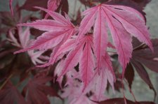 DSC07433.JPG