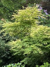IMG_9172.jpeg