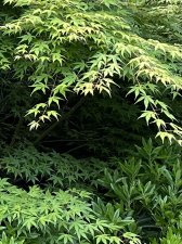 IMG_9173.jpeg