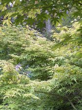 IMG_9176.jpeg