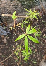 IMG_9963.jpeg