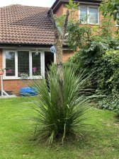IMG_2058.jpeg