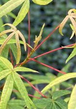 IMG_1014.jpeg