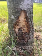 IMG_5117.jpeg