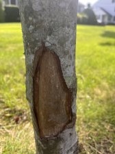IMG_5116.jpeg