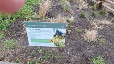 Tatlow Creek_Tatlow Park-PointGredRdMacdonald_Cutler_20241029_163401.jpg