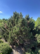 IMG_2495.jpeg