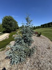 IMG_2510.jpeg