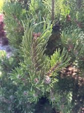 IMG_2563.jpeg