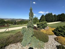 IMG_2564.jpeg