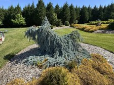 IMG_2566.jpeg