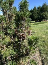 IMG_2587.jpeg