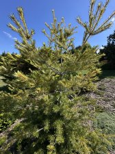 IMG_2591.jpeg