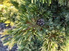 IMG_2596.jpeg