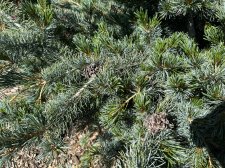 IMG_2604.jpeg