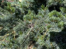 IMG_2605.jpeg