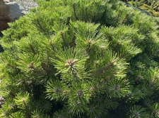 IMG_2608.jpeg
