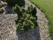 IMG_2609.jpeg