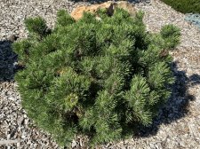 IMG_2612.jpeg