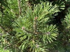 IMG_2613.jpeg