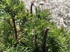IMG_2614.jpeg