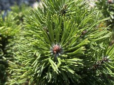 IMG_2615.jpeg