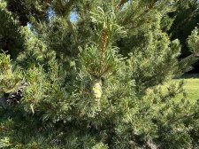IMG_2622.jpeg