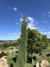 IMG_2640.jpeg