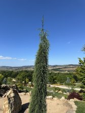 IMG_2638.jpeg