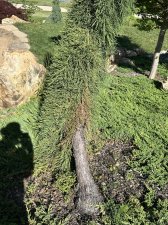 IMG_2639.jpeg