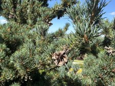 IMG_2643.jpeg