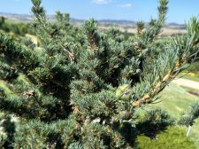 IMG_2644.jpeg
