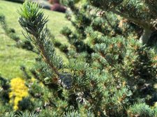 IMG_2645.jpeg