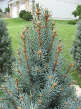 IMG_1137.jpg