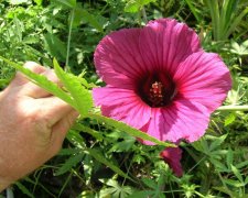 DSCN0820.jpg