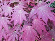 IMG_20250423_201139.jpg