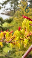 IMG_3932.jpeg