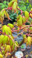 IMG_3934.jpeg