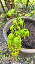 IMG_3982.jpeg